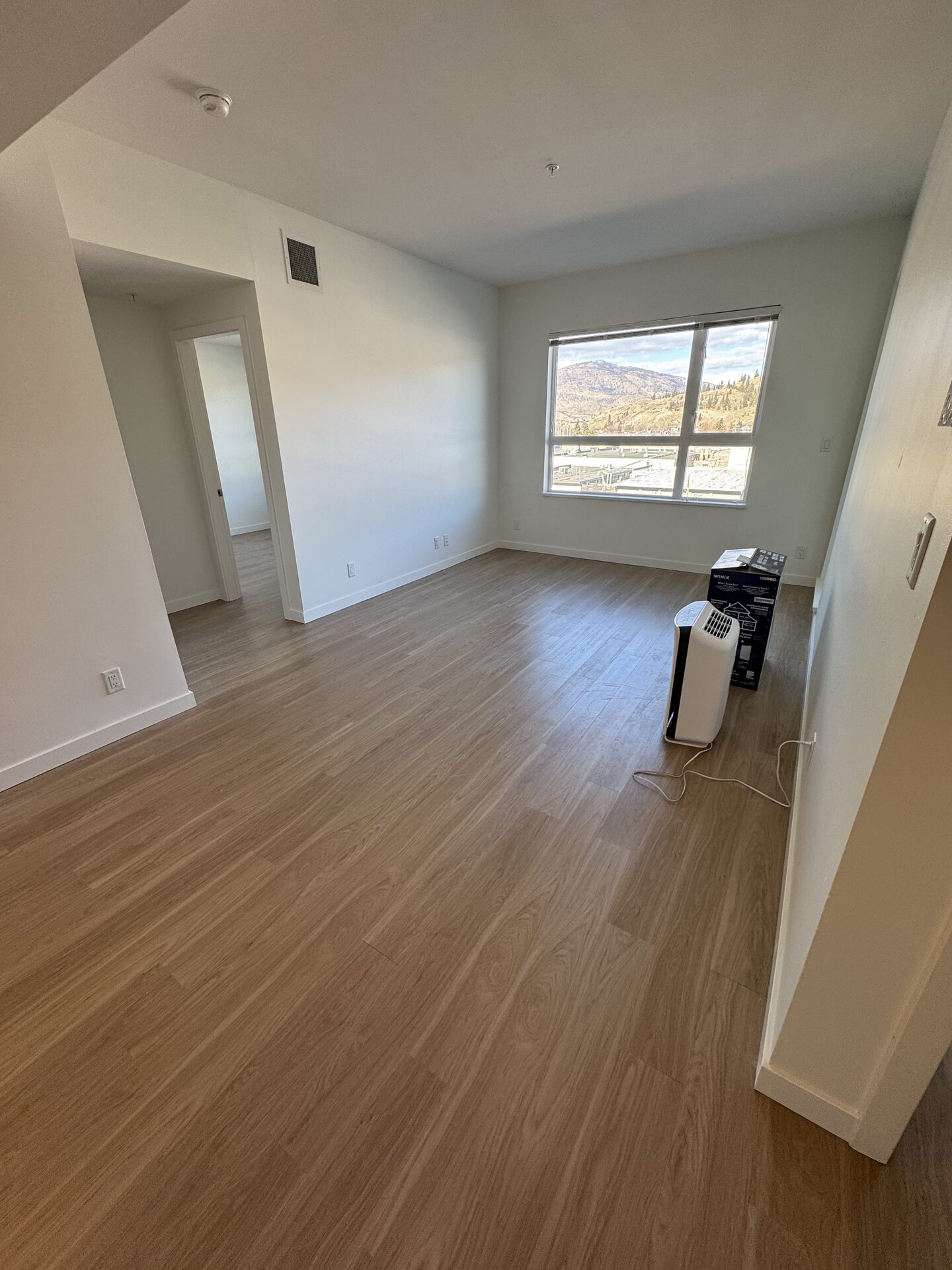 Basement Renovations